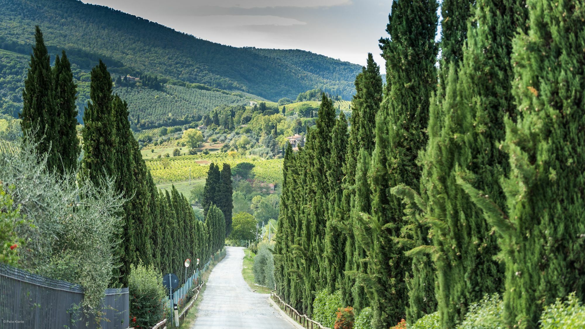 Agriturismo I Pini San Gimignano Buitenkant foto