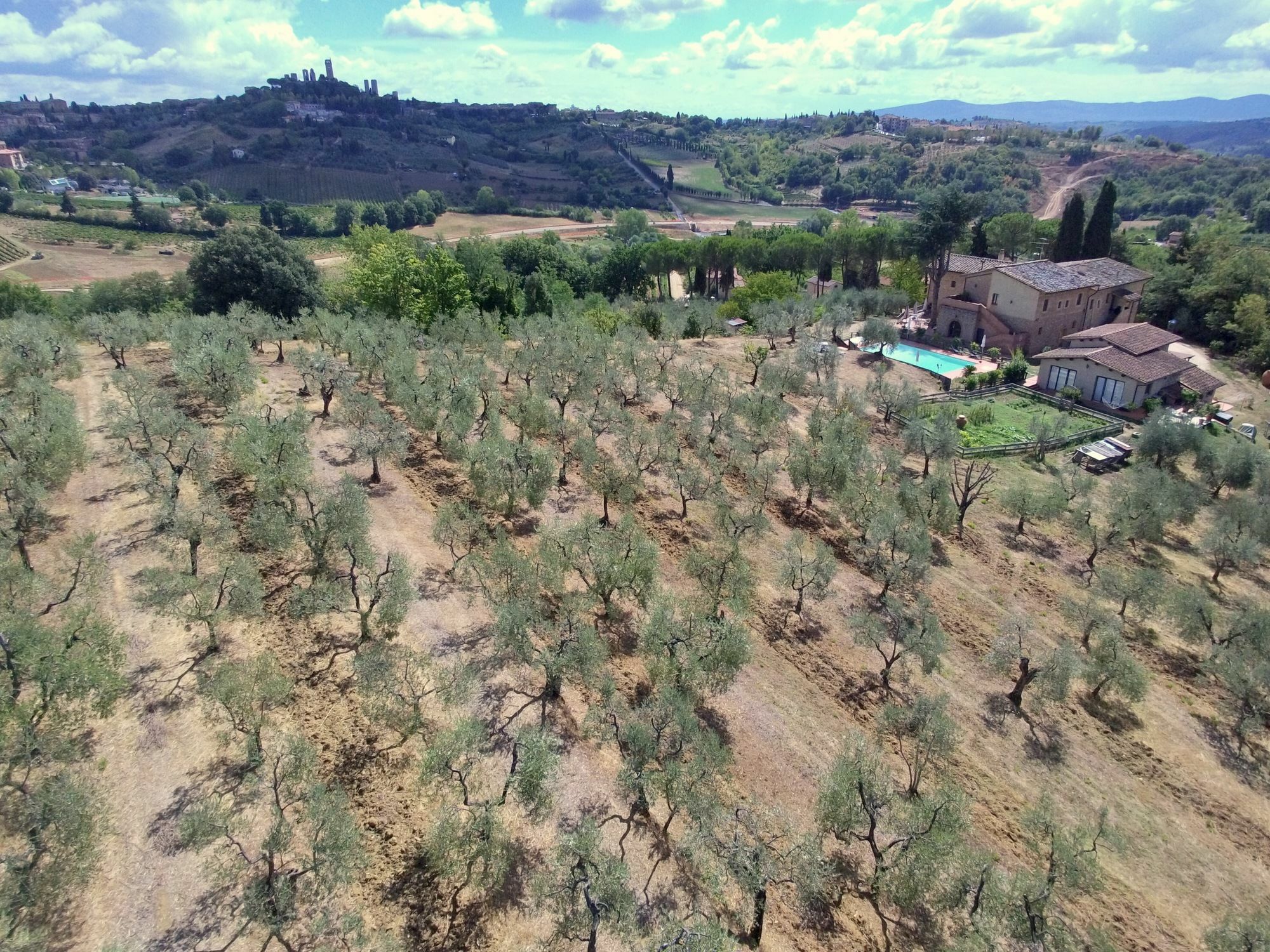 Agriturismo I Pini San Gimignano Buitenkant foto
